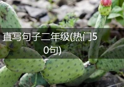 直写句子二年级(热门50句)