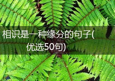 相识是一种缘分的句子(优选50句)