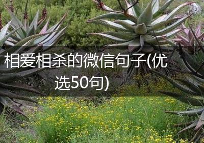 相爱相杀的微信句子(优选50句)