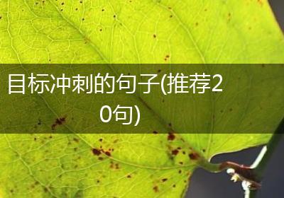 目标冲刺的句子(推荐20句)