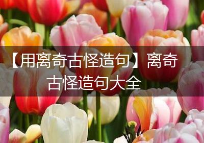 【用离奇古怪造句】离奇古怪造句大全