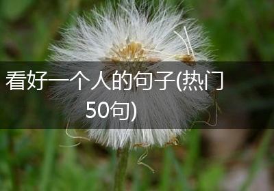 看好一个人的句子(热门50句)
