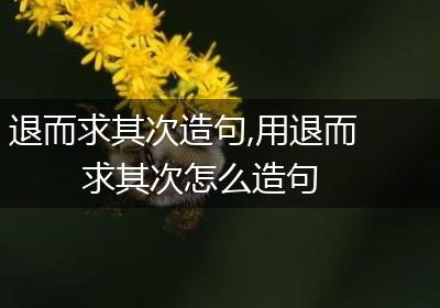 退而求其次造句,用退而求其次怎么造句