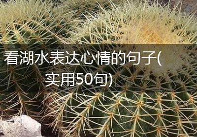 看湖水表达心情的句子(实用50句)