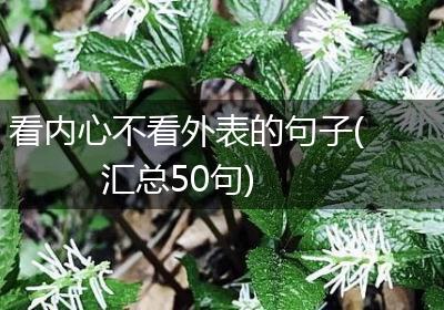 看内心不看外表的句子(汇总50句)
