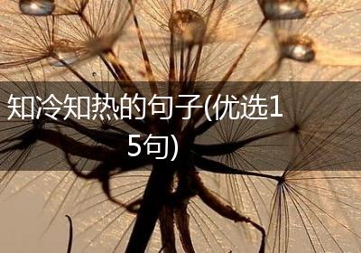 知冷知热的句子(优选15句)