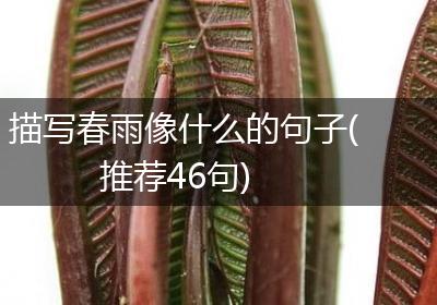 描写春雨像什么的句子(推荐46句)