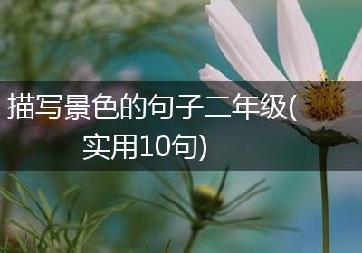 描写景色的句子二年级(实用10句)