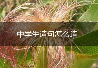 中学生造句怎么造