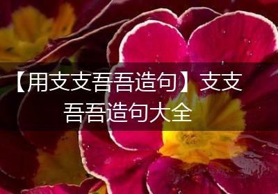 【用支支吾吾造句】支支吾吾造句大全