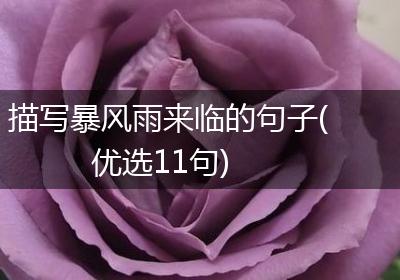 描写暴风雨来临的句子(优选11句)