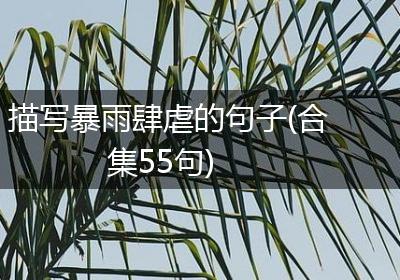 描写暴雨肆虐的句子(合集55句)