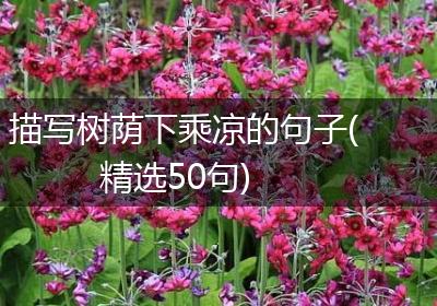 描写树荫下乘凉的句子(精选50句)