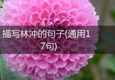 描写林冲的句子(通用17句)