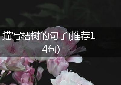 描写桔树的句子(推荐14句)