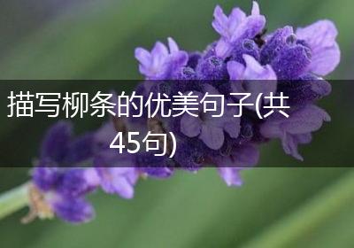 描写柳条的优美句子(共45句)