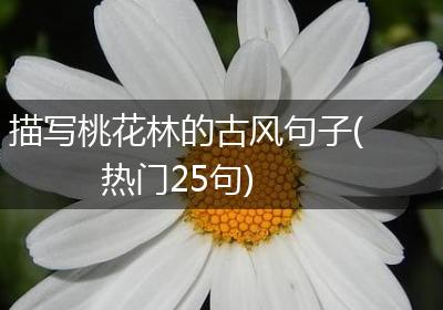 描写桃花林的古风句子(热门25句)