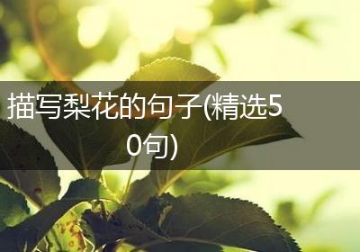 描写梨花的句子(精选50句)