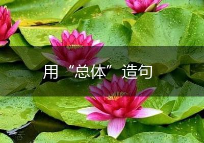 用“总体”造句