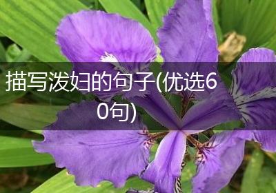 描写泼妇的句子(优选60句)
