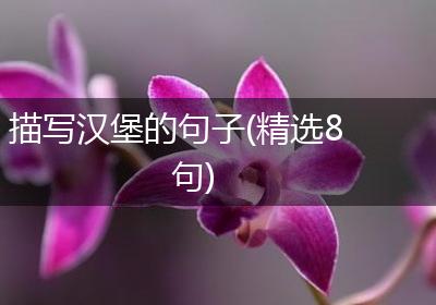 描写汉堡的句子(精选8句)