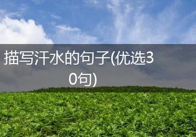 描写汗水的句子(优选30句)