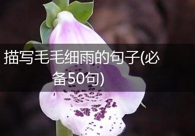 描写毛毛细雨的句子(必备50句)