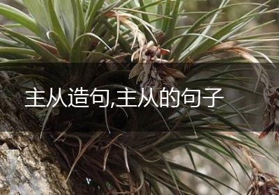 主从造句,主从的句子