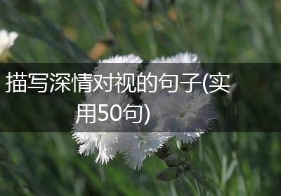 描写深情对视的句子(实用50句)