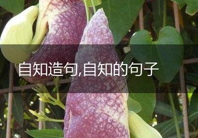 自知造句,自知的句子
