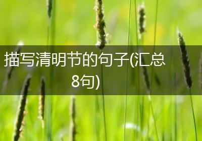 描写清明节的句子(汇总8句)