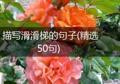 描写滑滑梯的句子(精选50句)