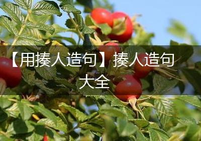 【用揍人造句】揍人造句大全