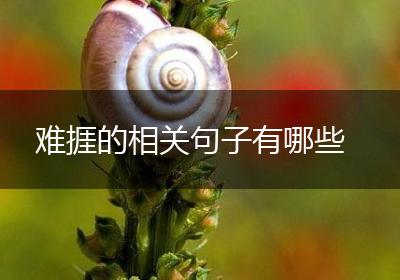 难捱的相关句子有哪些
