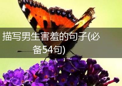 描写男生害羞的句子(必备54句)