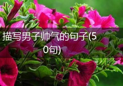 描写男子帅气的句子(50句)
