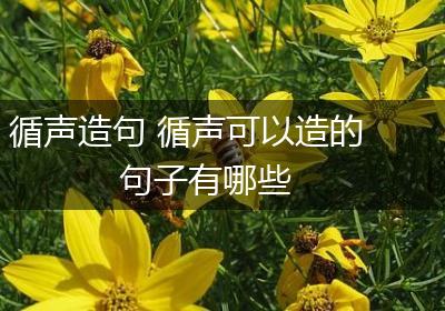 循声造句 循声可以造的句子有哪些