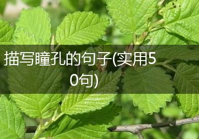 描写瞳孔的句子(实用50句)