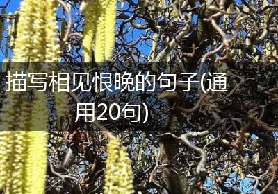 描写相见恨晚的句子(通用20句)