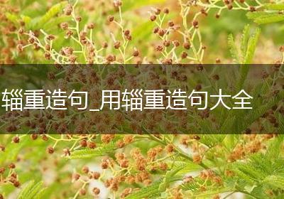 辎重造句_用辎重造句大全