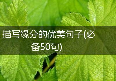 描写缘分的优美句子(必备50句)