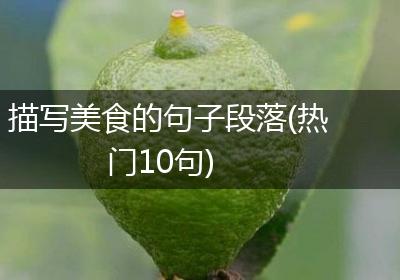 描写美食的句子段落(热门10句)