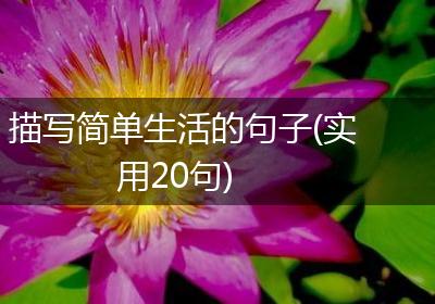 描写简单生活的句子(实用20句)