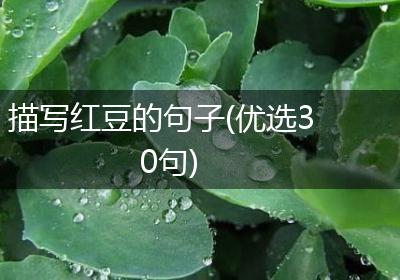 描写红豆的句子(优选30句)