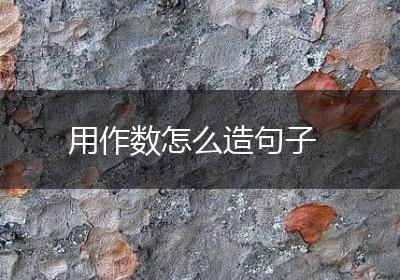 用作数怎么造句子