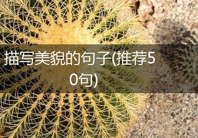描写美貌的句子(推荐50句)