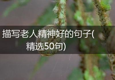 描写老人精神好的句子(精选50句)