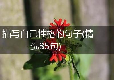 描写自己性格的句子(精选35句)