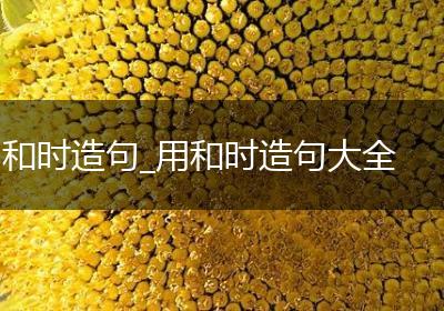 和时造句_用和时造句大全