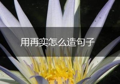 用再实怎么造句子